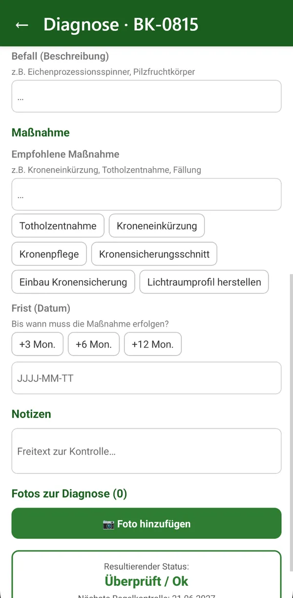 BaumDex: Maßnahmen mit Frist und nächster Regelkontrolle